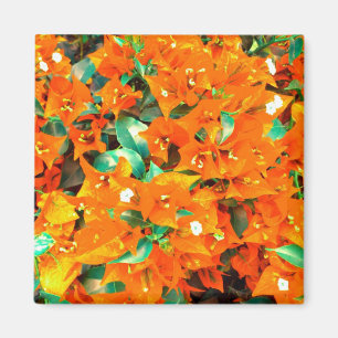 Vibrant Orange Bougainvillea Flowers Magnet