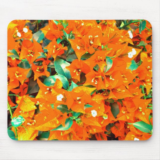 Vibrant Orange Bougainvillea Flowers Mouse Pad (Front)