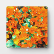 Vibrant Orange Bougainvillea Flowers
