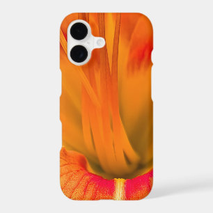 Vibrant orange daylily macro elegant nature