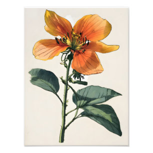 Vibrant Orange Flower with Lush Greenery Photo Print