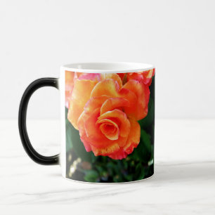 Vibrant Orange Rose Photograph Magic Mug