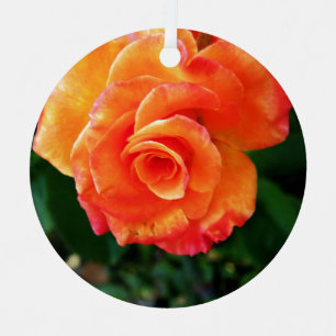 Vibrant Orange Rose Photograph Metal Ornament