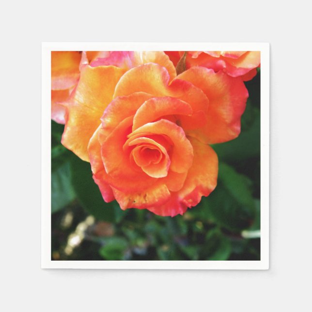 Vibrant Orange Rose Photograph Napkin (Front)