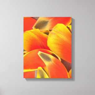 Vibrant Orange Tulip Flower Petals Photo Canvas Print