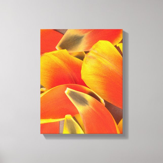 Vibrant Orange Tulip Flower Petals Photo Canvas Print (Front)
