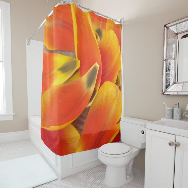 Vibrant Orange Tulip Petals Photograph (In Situ)
