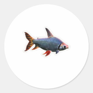 Vibrant Ornamental Fish Art - Beautiful Tropical A Classic Round Sticker