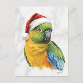 Vibrant Parrot Portrait in Santa Hat Holiday Postcard