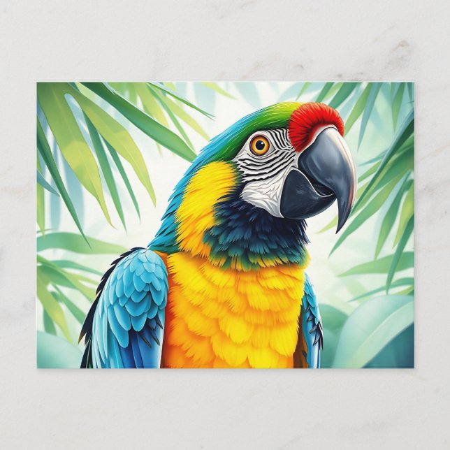 Vibrant Parrot with Detailed Feathers Postcard (Front)