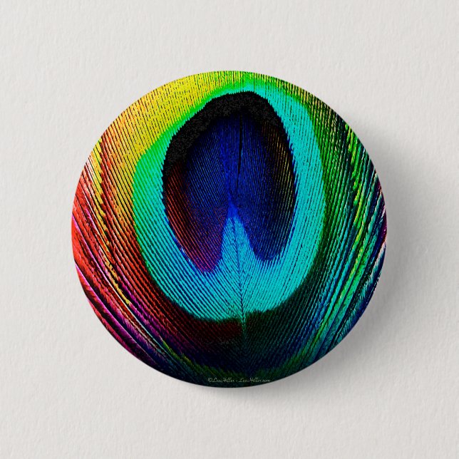 Vibrant Peacock Feather 2 Inch Round Button (Front)