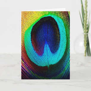 Vibrant Peacock Feather  Card