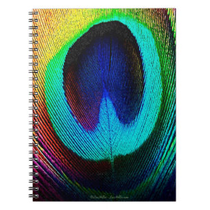 Vibrant Peacock Feather Notebook