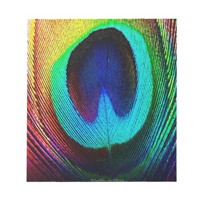 Vibrant Peacock Feather Notepad (Front)
