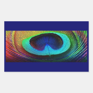 Vibrant Peacock Feather Sticker