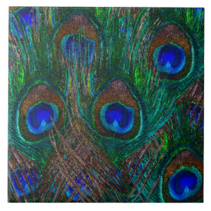 Vibrant Peacock Feathers Etching Style Decor Tile