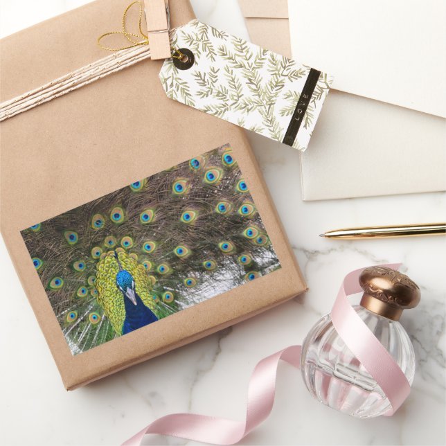Vibrant Peacock Feathers Sticker (Gifting)