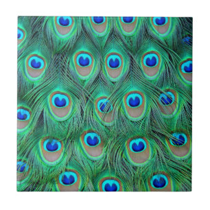 Vibrant Peacock Feathers Tile