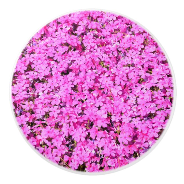 Vibrant Pink Floral Ceramic Knob (Front)