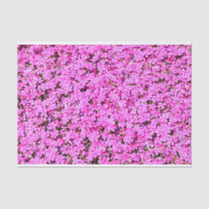 Vibrant Pink Floral Tissue Paper
