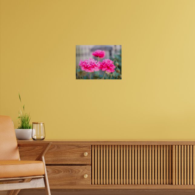 Vibrant Pink Mediterranean Poppies Poster (Living Room 2)