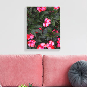 Vibrant Pink New Guinea Impatiens Flowers Pattern Canvas Print