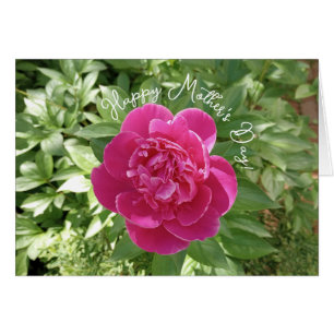 Vibrant Pink Peony Flower Mother's Day Card