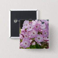Vibrant Pink Phlox Botanical