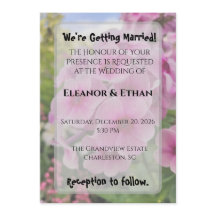 Vibrant Pink Phlox Summer Garden Wedding 