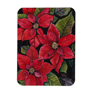 Vibrant Poinsettia In Watercolor Magnet
