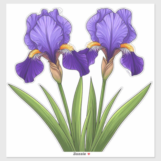 Vibrant Purple Iris Flowers With Green Leaves (Sheet)