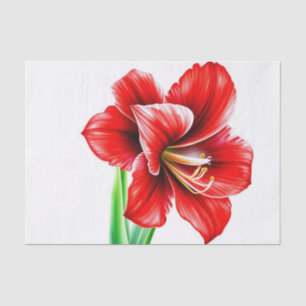 Vibrant Red Amaryllis in Watercolor  Tissue Paper