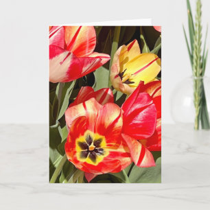 Vibrant Red and Yellow Tulip Photography Blank Card