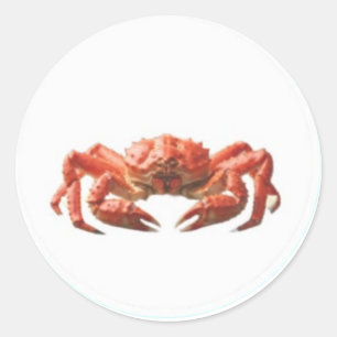 Vibrant Red Crab - Coastal Ocean Wildlife Sticker