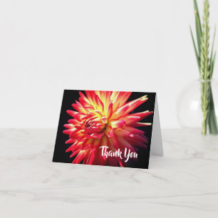Vibrant Red Dahlia Flower Thank You  Card