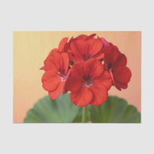 Vibrant Red Geranium Floral Bloom Tissue Paper