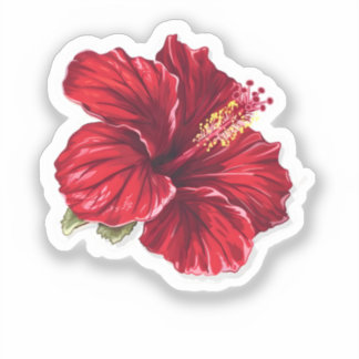 Vibrant Red Hibiscus Flower