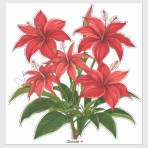 Vibrant Red Hibiscus Flower Bouquet