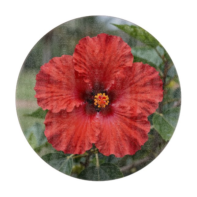 Vibrant Red Hibiscus Tropical Bloom Cutting Board (Front)