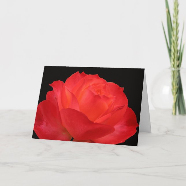 Vibrant Red-orange Rose Mothers Day Card (Front)