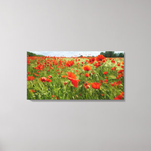 Vibrant Red Poppy Field Canvas Print