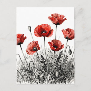 Vibrant Red Poppy Flower Meadow Postcard