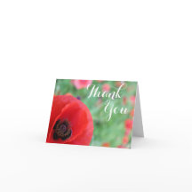 Vibrant Red Poppy Thank You card