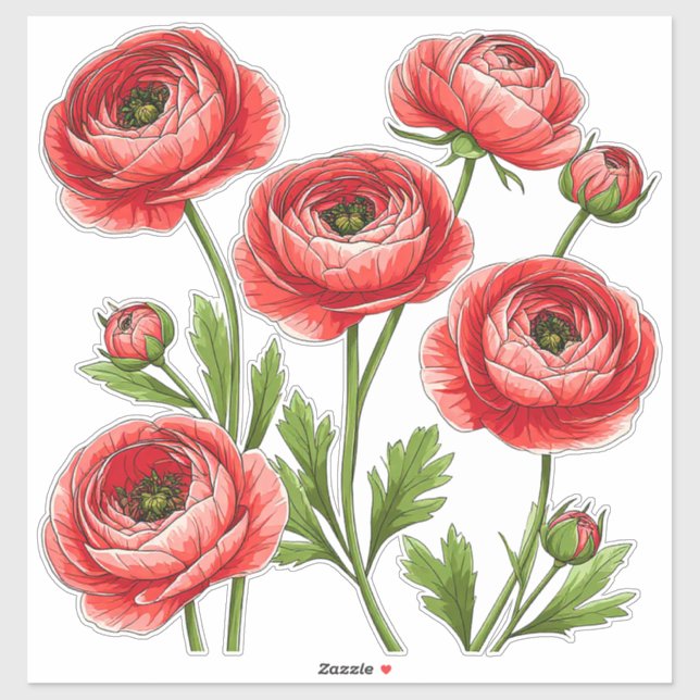 Vibrant Red Ranunculus Bouquet With Green Stems (Sheet)
