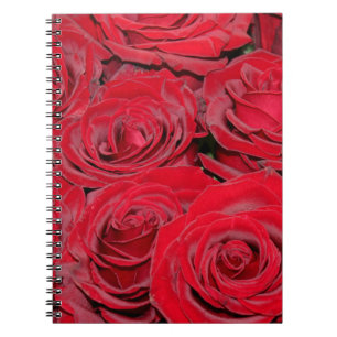 Vibrant Red Roses Notebook