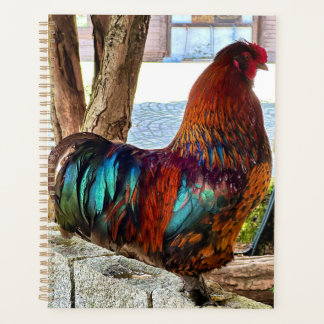 Vibrant Rooster Custom Planner