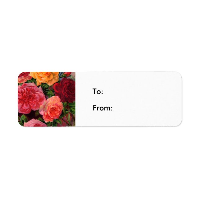 Vibrant Roses (Front)