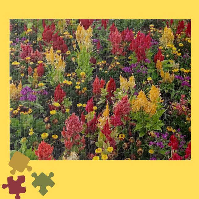 Vibrant Summer Flower Garden in Orlando Florida Jigsaw Puzzle (Creator Uploaded)