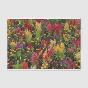 Vibrant Summer Flower Garden in Orlando Florida Tissue Paper
