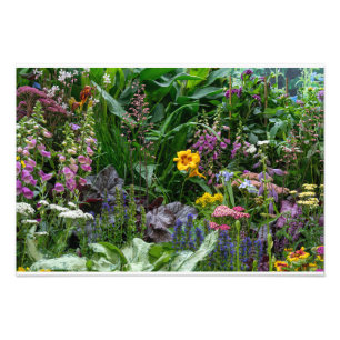 Vibrant Summer Garden Flowers Pattern Background Photo Print